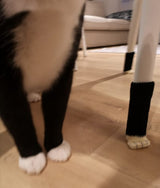 CAT PAW CHAIR SOCKS