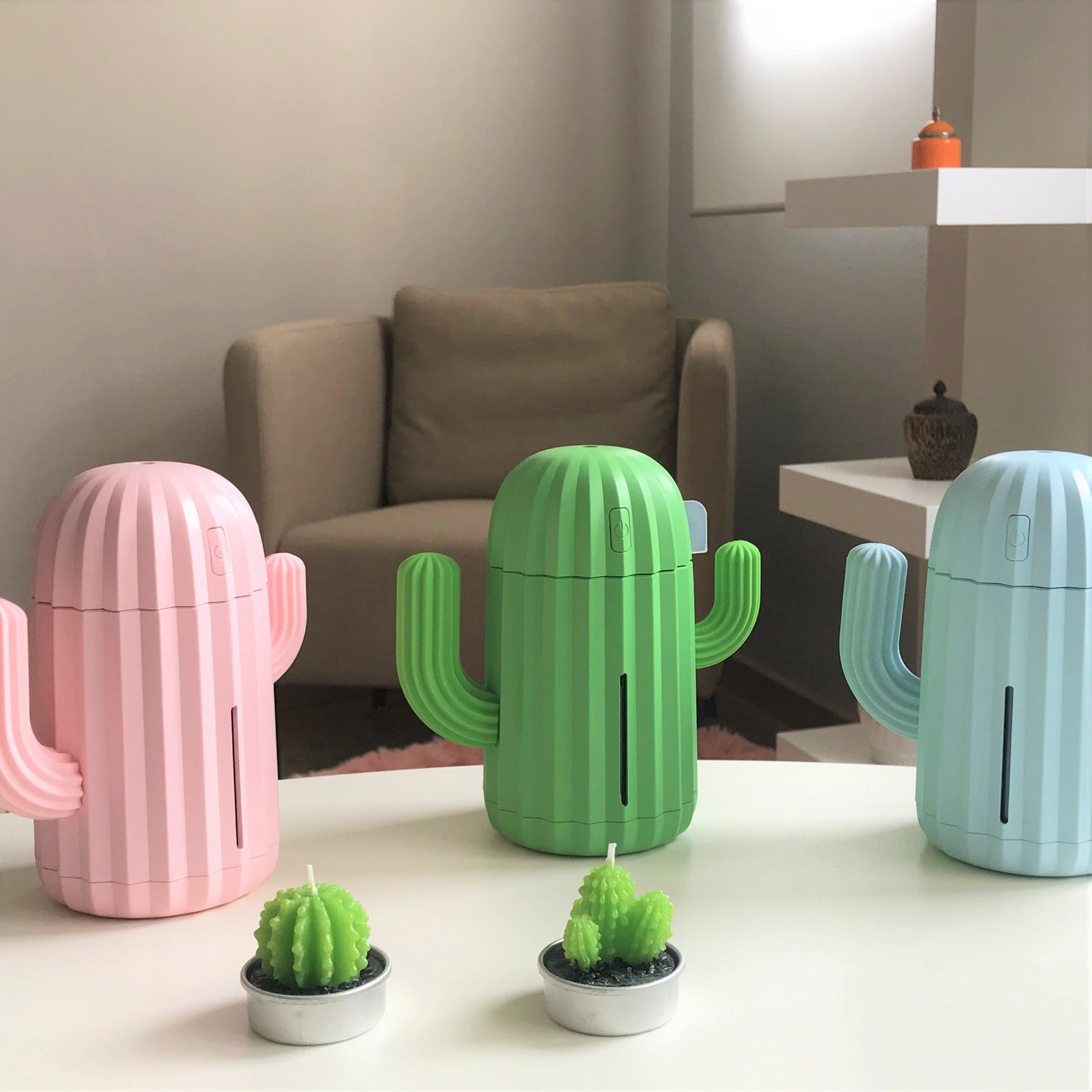 succulent humidifier MINI CACTUS HUMIDIFIER – Holistik Bloom